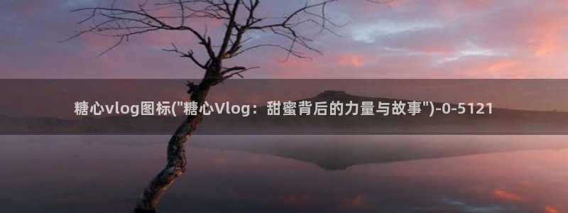 糖心vlog小二