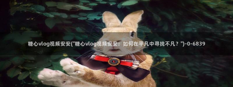 糖心vlog在线观看i