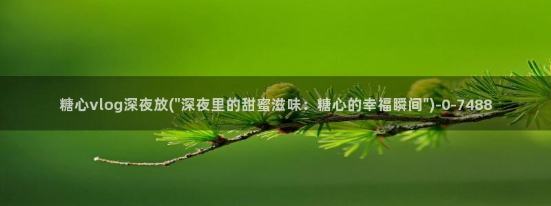 免费糖心vlog导航