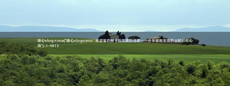 糖心vlog开车视频