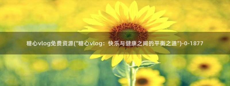 糖心vlog系列产品