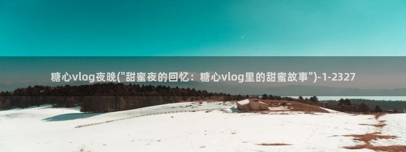 糖心vlog网盘下载