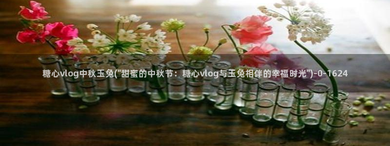 糖心出品vlog 网红