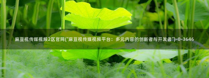 麻豆官网传媒入口：麻豆视传媒视频2区官网(\
