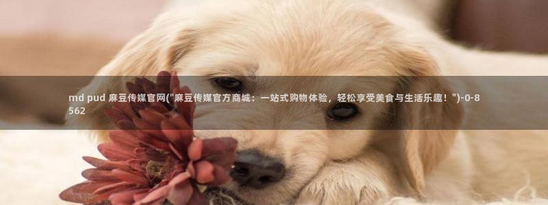 麻豆传媒 台湾 官网：md pud 麻豆传媒官网(\