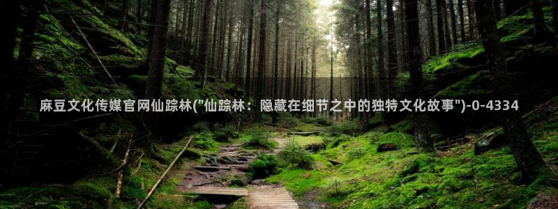 麻豆啊传媒官网：麻豆文化传媒官网仙踪林(\