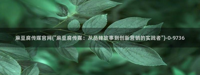 麻豆传媒官网是哪个：麻豆腐传媒官网(\