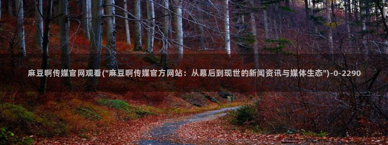 麻豆传媒官网免费看：麻豆啊传媒官网观看(\