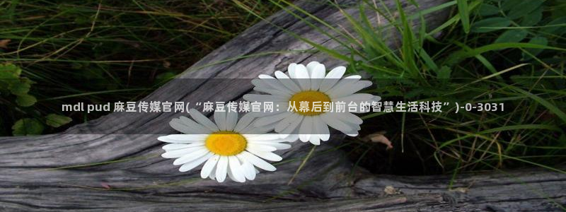 麻豆传媒公司av官网：mdl pud 麻豆传媒官网(“麻豆传媒官网：从幕后到前台的智慧生活科技”)