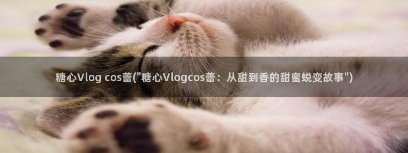 橘子猫糖心vlog迅雷