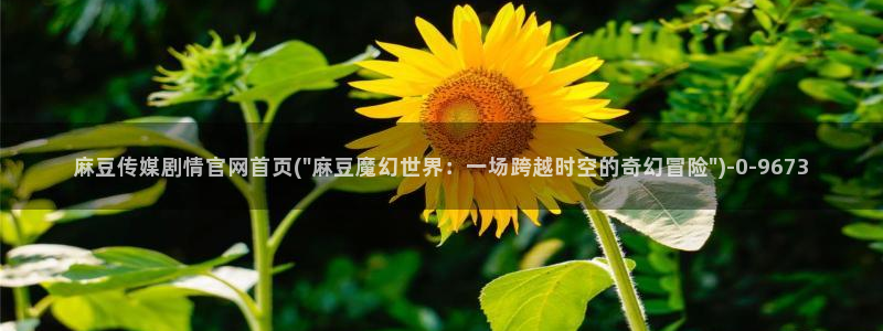 mdapptv麻豆传媒官网：麻豆传媒剧情官网首页(\