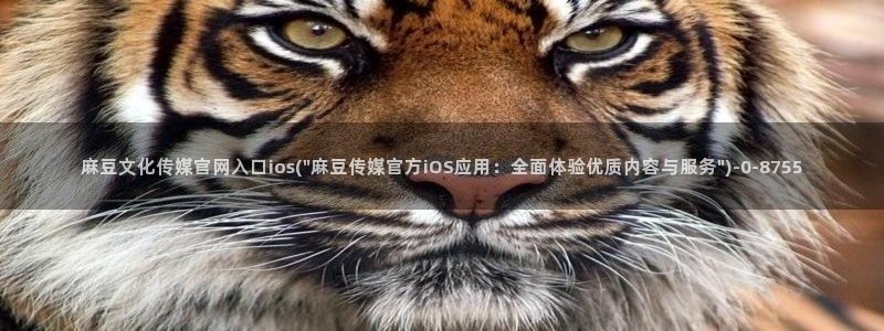 麻豆传媒官网连接：麻豆文化传媒官网入口ios(\