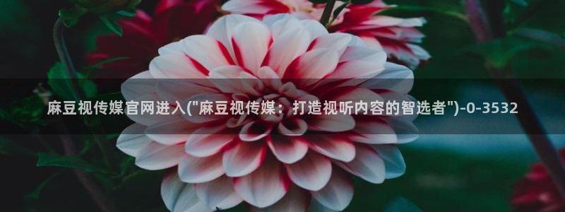 麻豆传媒官网论坛：麻豆视传媒官网进入(\