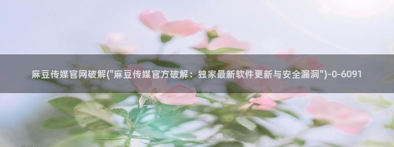 麻豆传媒眏画官网：麻豆传媒官网破解(\