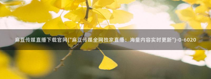 麻豆传媒官网综合