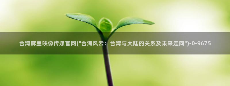 麻豆穿传媒官网