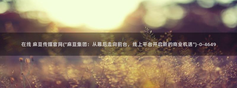 麻豆啊传媒app官网