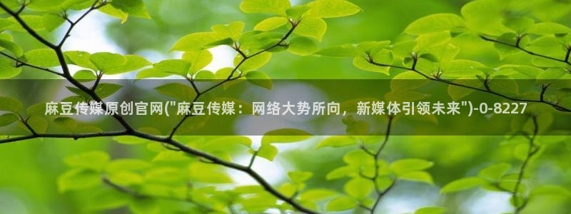 麻豆传媒官网直