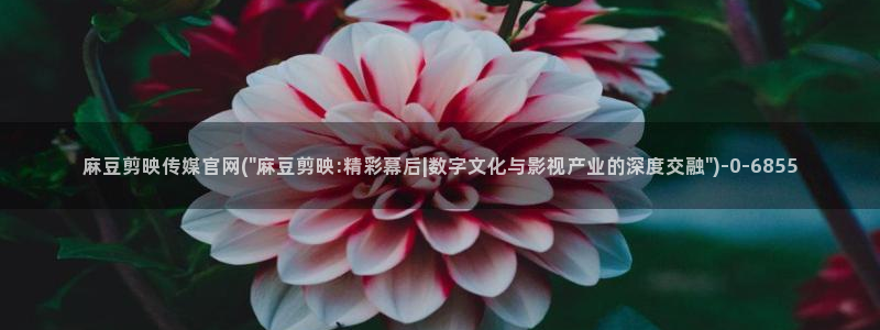 麻豆映视传媒官网：麻豆剪映传媒官网(\