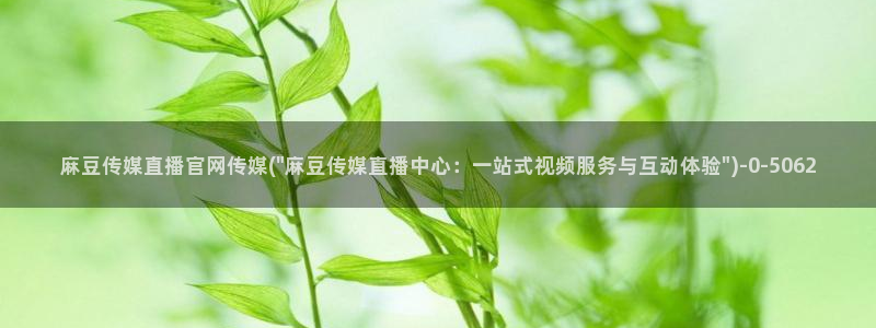 麻豆传媒映化官网：麻豆传媒直播官网传媒(\