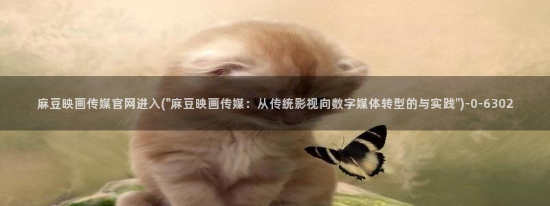 麻豆传媒动画官网
