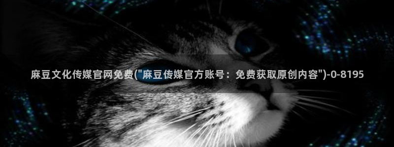 麻豆画视频传媒官网