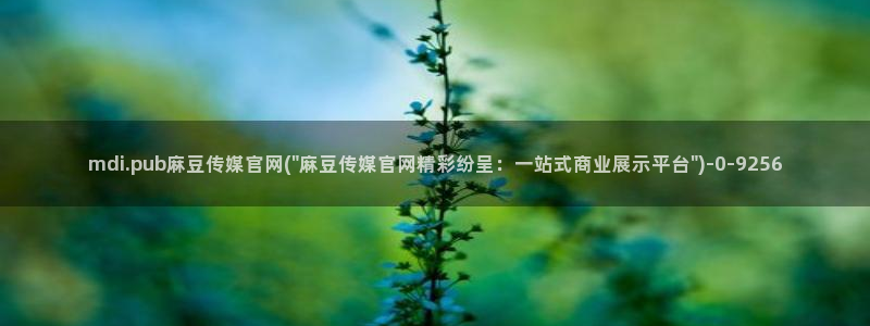 麻豆 传媒官网