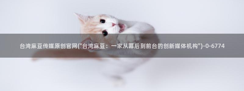 麻豆传媒官网番号