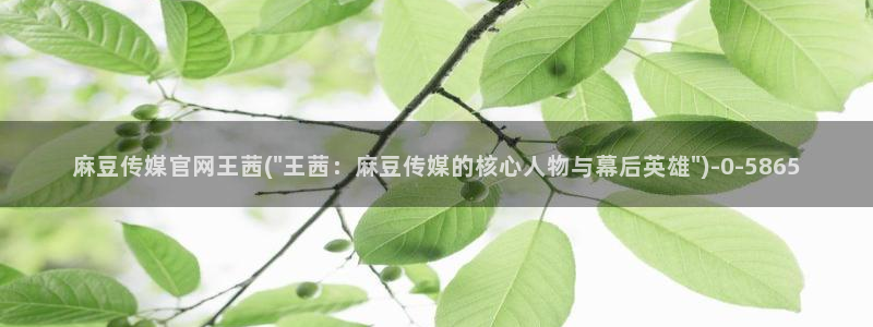 麻豆传媒app官网版：麻豆传媒官网王茜(\