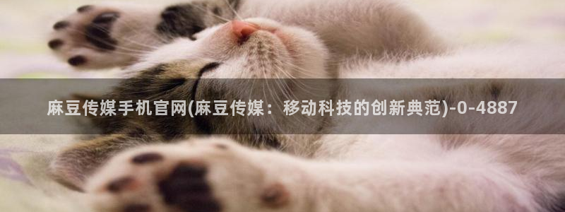 麻豆传媒官网
