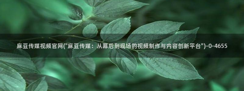 麻豆传媒官网：麻豆传媒视频官网(\