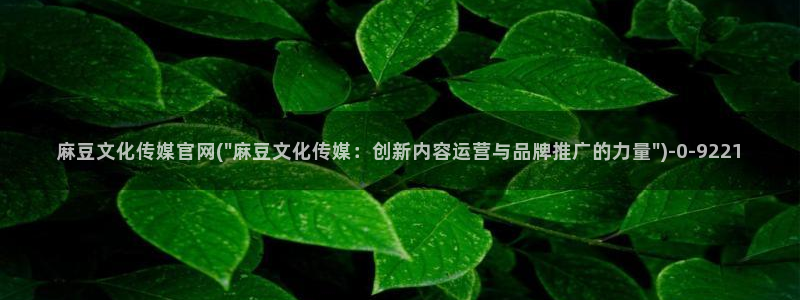 麻豆传媒官网怎么找到：麻豆文化传媒官网(\