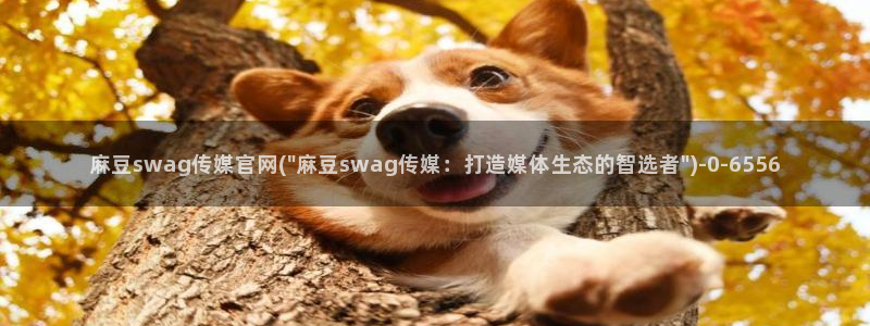 麻豆传媒官网水蜜桃：麻豆swag传媒官网(\